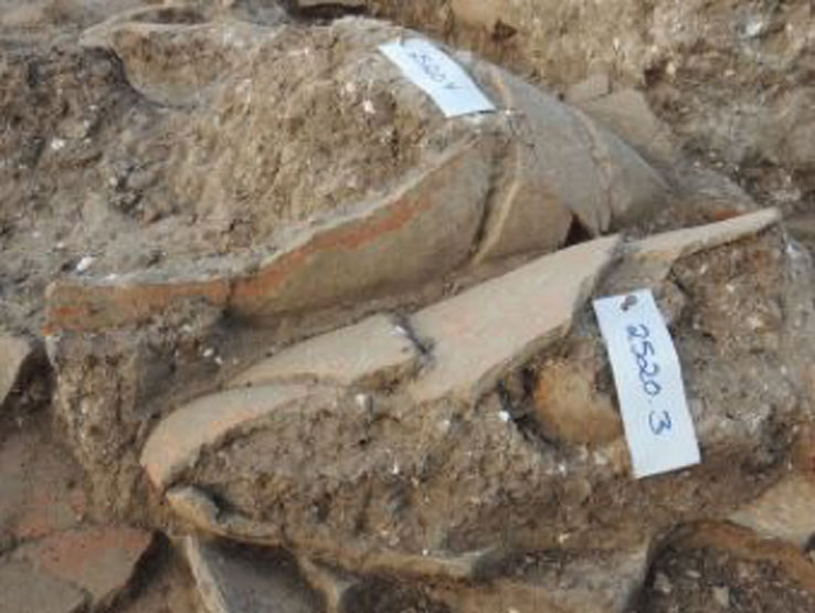 Pithoi hallados en un palacio cananeo datado en 4.000 años de antigüedad, Tel Kabri. Fotografía: Eric Cline