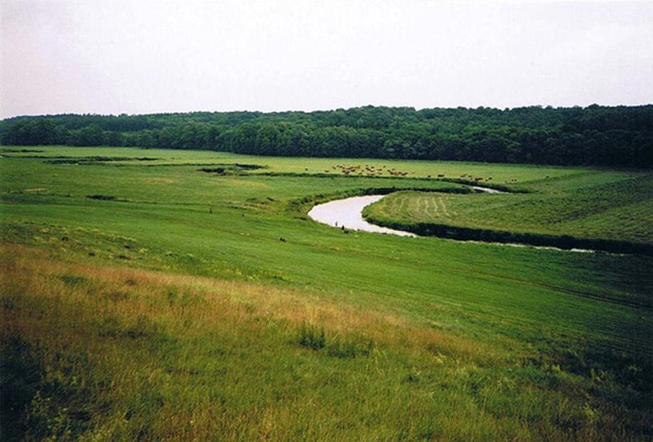 El río Tollense cerca de la localidad de Weltzin. (Public Domain)