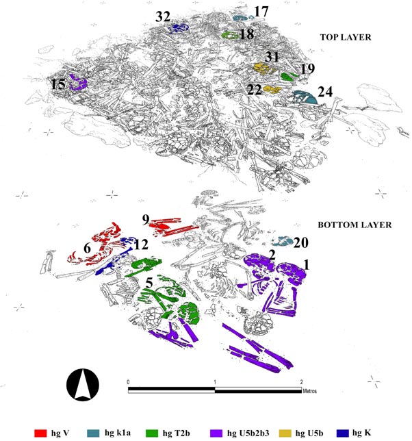 Superposición de los diferentes estratos del osario neolítico del Alto del Reinoso en el que se indican con diferentes colores los huesos de los individuos con un perfil genético similar. (Gráfico: Héctor Arcusa Magallón) 