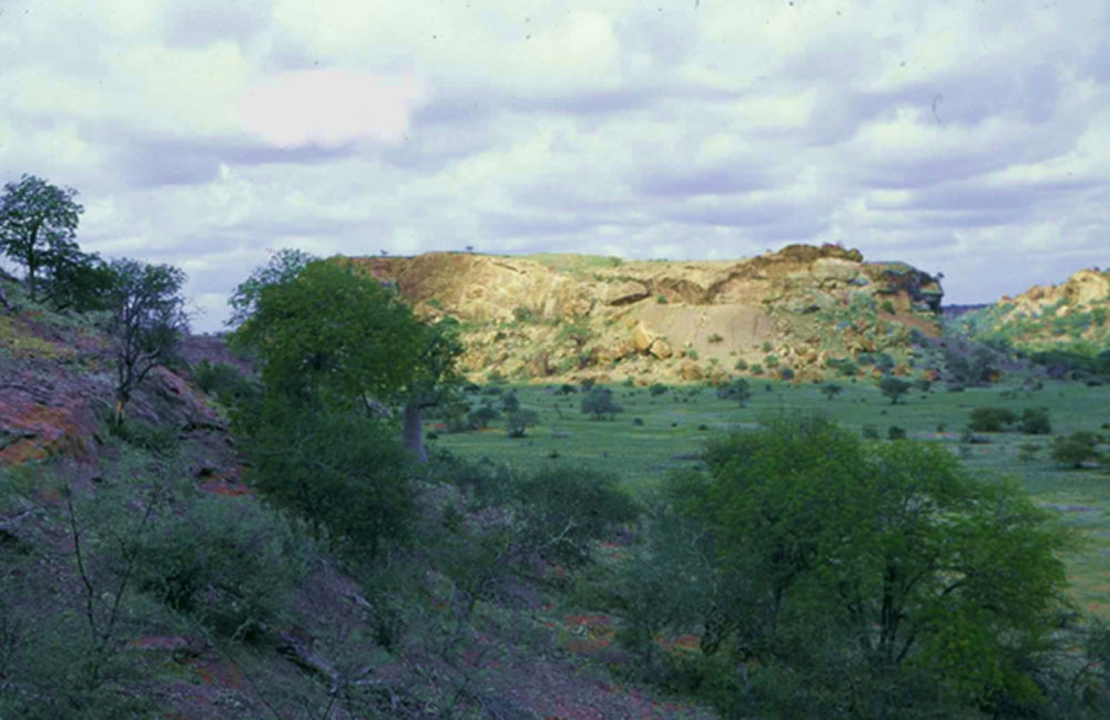 Colina de Oro de Mapungubwe (Copyright: Universidad de Pretoria)