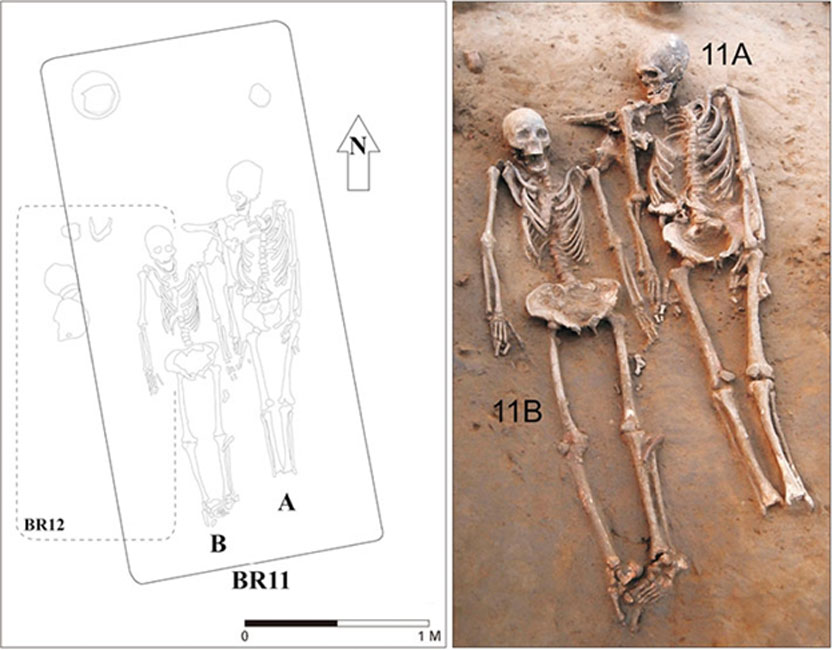 Los dos esqueletos. Sus cabezas fueron colocadas apuntando al el norte. Al esqueleto del hombre le faltaban ambos pies. (ACB Journal of Anatomy and Cell Biology)