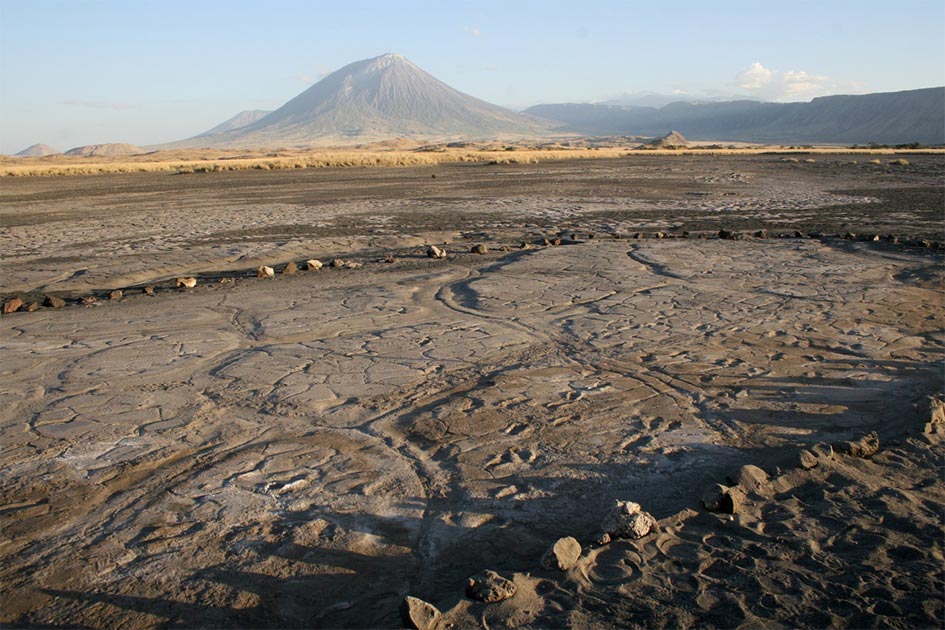 El sitio de la huella de Engare Sero, que conserva al menos 408 huellas prehistóricas que datan de hace entre 19,100 y 5,760 años. Una erupción de Ol Doinyo Lengai, el volcán en el fondo, produjo la ceniza en la que se preservaron las huellas humanas. Fuente: Cynthia Liutkus-Pierce / Nature