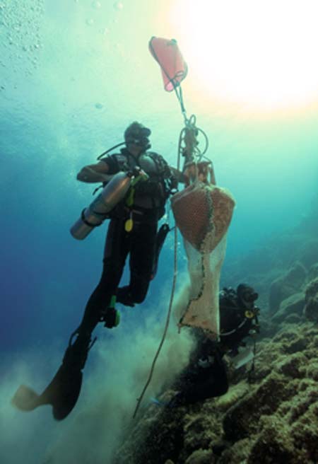 Ãnfora antigua intacta llevada a la superficie como parte del estudio Ephorate of Underwater Antiquities 2019. (Ministerio HelÃ©nico de Cultura y Deportes)