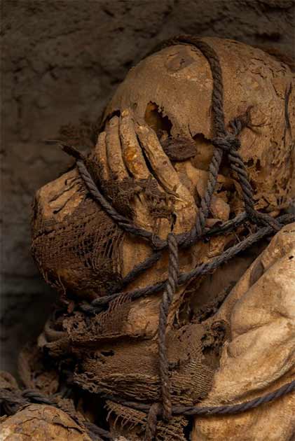 Un primer plano de la momia atada con una cuerda encontrada en el sitio arqueológico de Cajamarquilla, no lejos de Lima, Perú. (UNMSM)