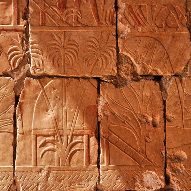 Este relieve representa árboles de incienso y mirra obtenidos por la expedición de Hatshepsut a Punt. (CC BY-SA 3.0)