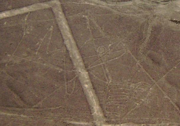 Líneas de Nazca, ballena