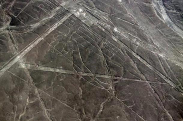 Geoglifo del loro en Nazca