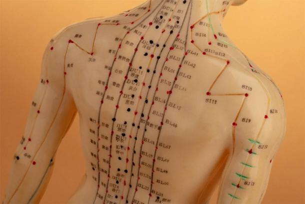 Las principales líneas de los meridianos de acupuntura en la parte posterior del cuerpo humano (Birgit Reitz-Hofmann / Adobe Stock)