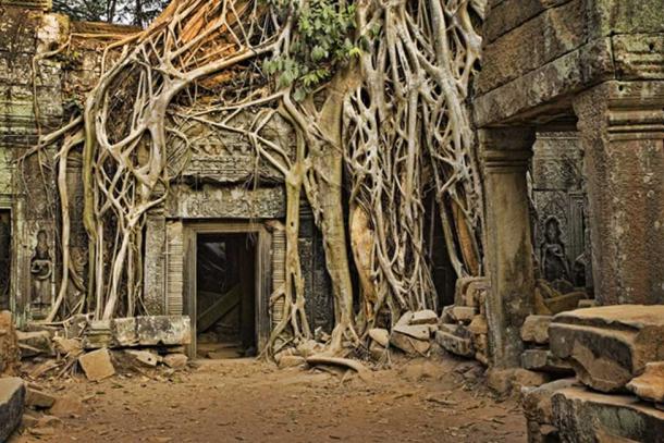 Angkor Wat perdió en la jungla. (David Davis / Adobe Stock)