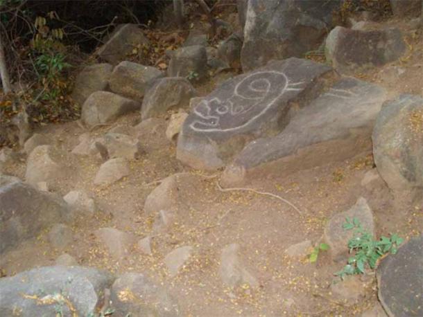 A lo largo de los años se han encontrado imágenes de animales repartidas por esta zona. (INAH)