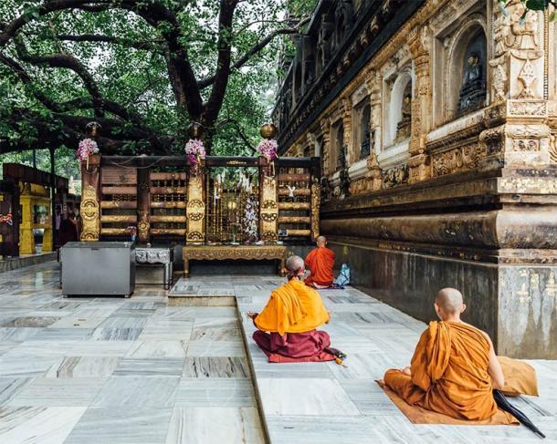 Monje budista indio en meditación cerca del árbol Bodhi y el trono de diamantes (artitwpd / Adobe Stock)