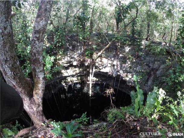 La canoa maya fue descubierta en un cenote de Yucatán. (Oficina Península de Yucatán de la SAS-INAH)