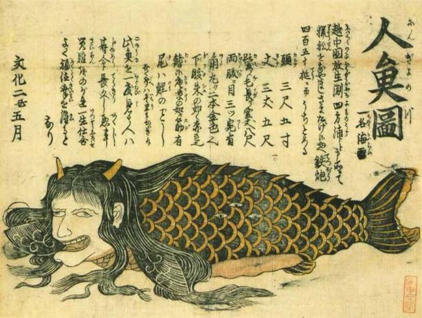 Las sirenas, conocidas como ningyo en japonés, son un elemento fijo dentro de la mitología japonesa y son la razón de la popularidad de las momias sirena, como la sirena del templo Enjuin. (Dominio publico)