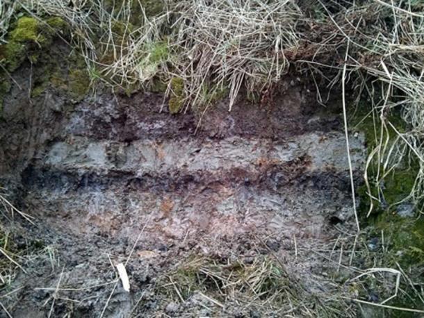 Depósitos de tsunami de Storegga (capa superior gris), encerrados entre turba (capas de color marrón oscuro), tomadas en Maryton en la cuenca de Montrose, Escocia. (Stozy10 / CC BY-SA 3.0)