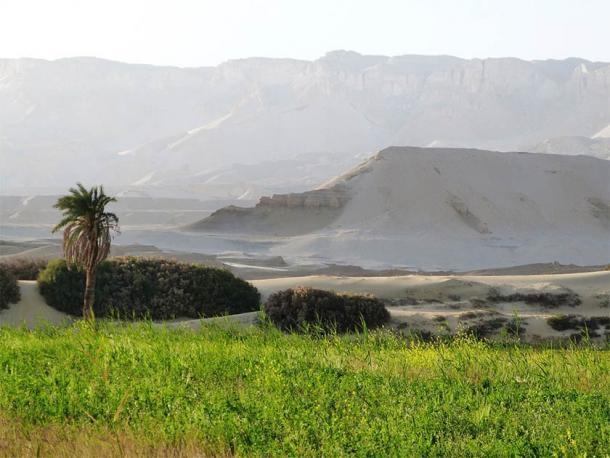 Los desiertos egipcios son un estudio de contrastes que van desde la vida verde de los oasis hasta los acantilados rocosos secos e inhóspitos. (P. Polkowski / Ciencia en Polonia)