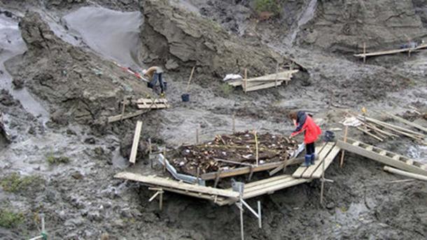 El sitio arqueológico donde se encontraron dos dientes de leche de 31,000 años. (Imagen: Elena Pavlova)