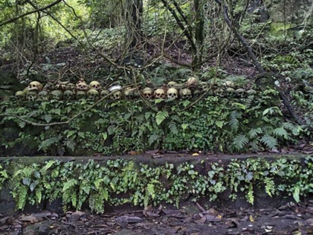 En el cementerio de la isla calavera hay un árbol Taru Menyan que emite un olor fragante, por lo que el cementerio no apesta. (Ayrahsha / CC BY-SA 4.0)