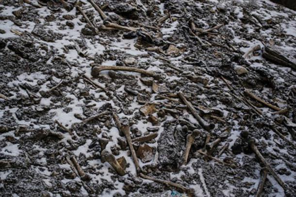 Esqueletos en el lago de la muerte. (Naturaleza / Uso justo)