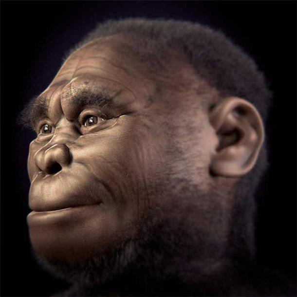 Reconstrucción facial del miembro individual LB-1 de Homo floresiensis. (Cicero Moraes et alii / CC BY 4.0)