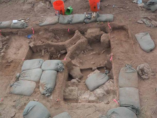 El sitio de excavación donde se descubrieron los huesos de mamut de Nuevo México, en su mayoría costillas y piezas de la columna vertebral. El fósil más destacado es una parte del cráneo de un mamut adulto. (Timothy Rowe / Universidad de Texas en Austin)