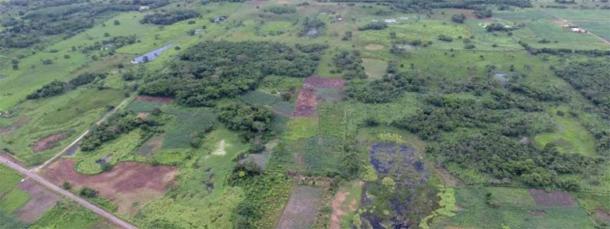 El gran complejo maya de Aguada Fénix cerca de Tabasco, México, está cubierto de vegetación que LiDar puede penetrar (FranceTV / CC BY SA 4.0)