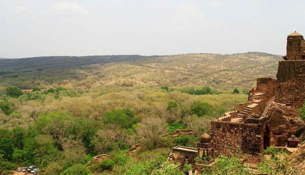 Ubicado dentro del bosque circundante, Ranthambore disfruta de increíbles vistas del terreno forestal. (Shaz.syed13 / CC BY-SA 4.0)