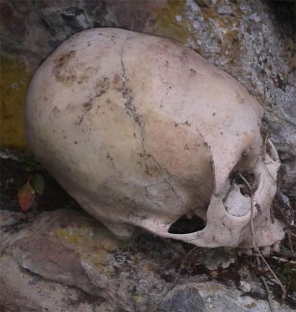 Uno de los dos cráneos alargados descubiertos en las montañas de la región de Cuzco en Perú, al norte de Abancay. (Imagen: © Philip J.S. Jones)