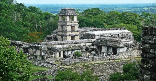 Las antiguas ruinas mayas de Palenque en México. (Marine/ Adobe stock)