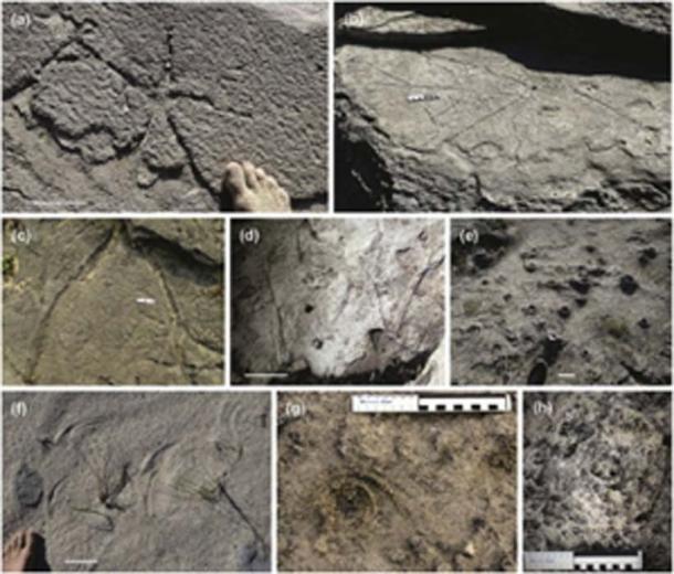 Los patrones antiguos se están estudiando a partir de muestras y fotos tomadas. (Science Direct)