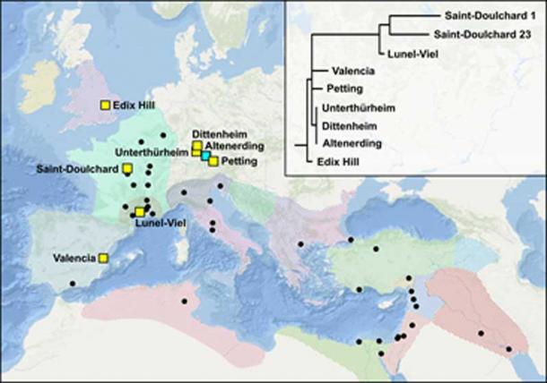 Mapa y árbol filogenético que muestran los genomas recién publicados (amarillo) y previamente publicados (turquesa). Las áreas sombreadas y los puntos representan los brotes registrados históricamente de la Primera Pandemia. Crédito de la imagen: Marcel Keller