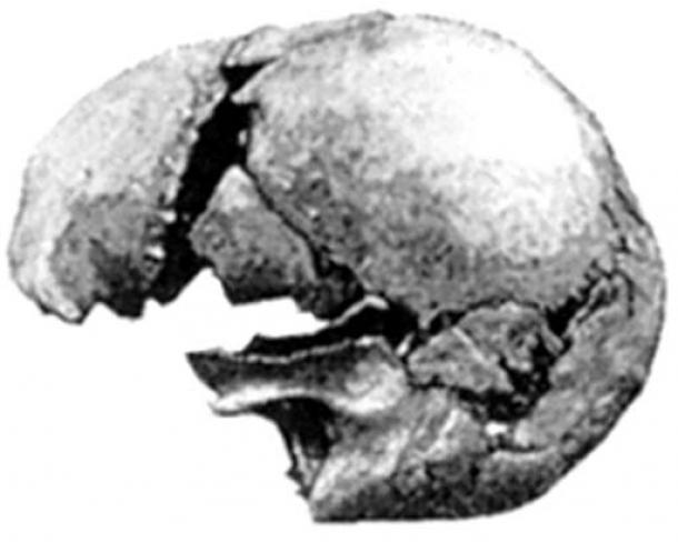 Moderní lidská lebka nalezená v Castenedolo, Itálie.  (uveden autor)