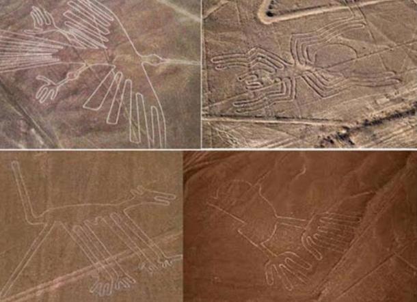 Colección de geoglifos de Nazca entre los que están el colibrí (parte superior izquierda) y el mono (parte inferior izquierda).