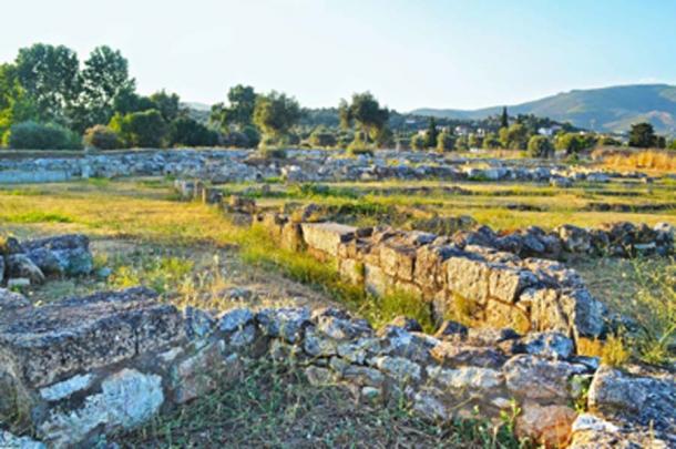 Paisaje de la antigua ciudad de Eretria (photo_stella / Adobe Stock)