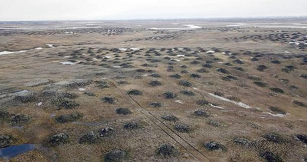 Los paleontólogos hicieron el descubrimiento excepcionalmente raro en la isla Kotelny, parte del nuevo archipiélago siberiano. Imágenes: Los tiempos de Siberia, Innokenty Pavlov