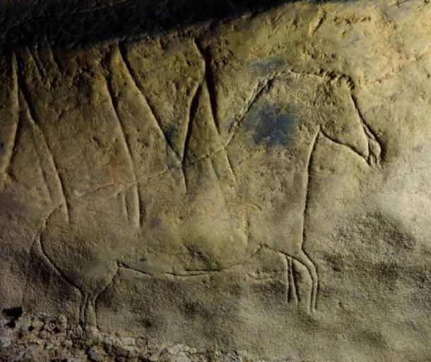 Arte rupestre paleolítico de caballo encontrado en la Cueva Mayor de La Fuente cerca de l'espluga de Francolí. (Josep Maria Vergés/ iphes)