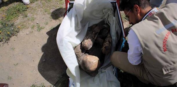 Fotografía del Ministerio de Cultura, que muestra una momia prehispánica encontrada dentro de la mochila de un repartidor. (EFE/Ministerio de Cultura)