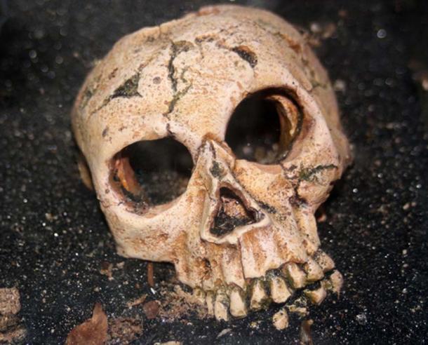Reprezentativní obrázek.  "Kosti muže byly nedávno nalezeny v uhelném loži pokrytém dvěma stopami břidlicové horniny, devadesát stop pod povrchem země."  (CC0)