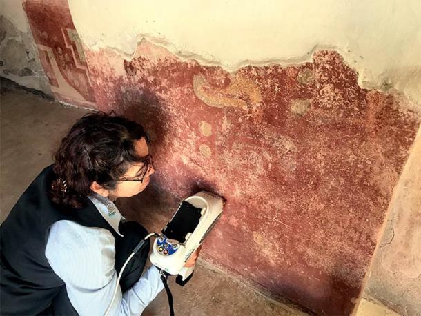 En esta imagen, un investigador está analizando el estuco de una pared en el complejo Quetzalpapálotl que resultó en la identificación de yeso, un material que nunca antes había sido identificado en Mesoamérica. (Denisse Argote Espino / INAH)