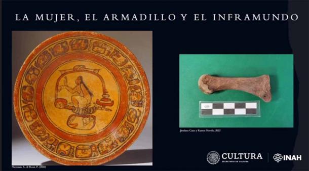 Los arqueólogos revelaron que la presencia de huesos de armadillo junto con la canoa maya podría explicarse por la creencia maya de que el animal estaba relacionado con el inframundo. (INAH)