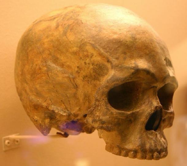 Se encontró un fósil de cráneo redondeado en Etiopía, uno de los lugares de origen humano. (Ryan Somma /CC BY-SA 2.0)