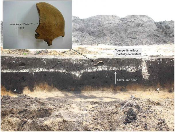 El cráneo de una mujer que se divide en dos y se coloca debajo del piso de una casa en Jutlandia, Dinamarca. Imagen: Ostergaard (2016) y Museo Histórico del Norte de Jutlandia / Arqueología Mundial