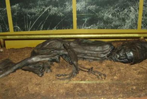 Tollund Man en exhibición en el Museo Silkeborg. (CC BY-SA 3.0)