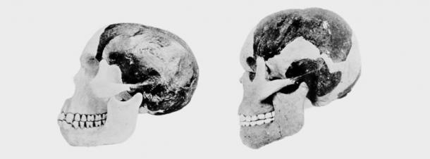 Dos científicos involucrados en el caso del hombre de Piltdown intentaron reconstruir el cráneo y la mandíbula del hombre de Piltdown. (Foto del Museo Británico de Historia Natural)