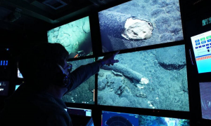 ¿Por qué está un colmillo de mamut en aguas profundas frente a la costa de California?