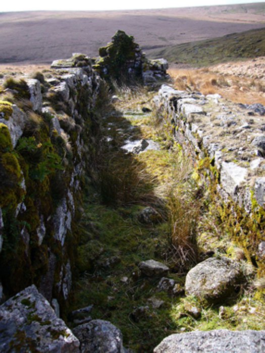 Los restos de la carretilla en la mina Huntingdon en el sur de Dartmoor, donde se extrajeron el estaÃ±o y el cobre. (Herbythyme / CC BY-SA 4.0)